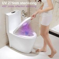 Toilet Sterilizer